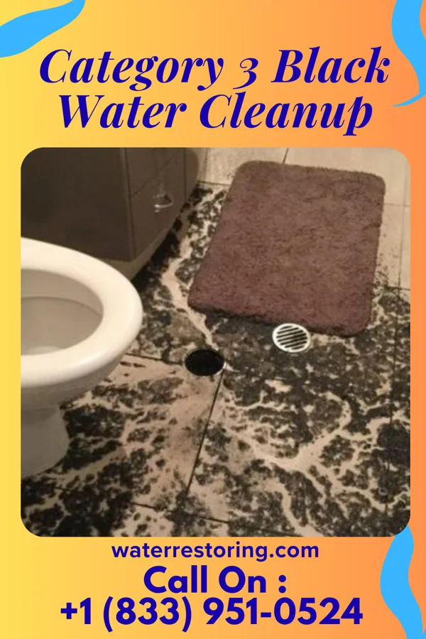 Category 3 Black Water Cleanup in Simpson, PA