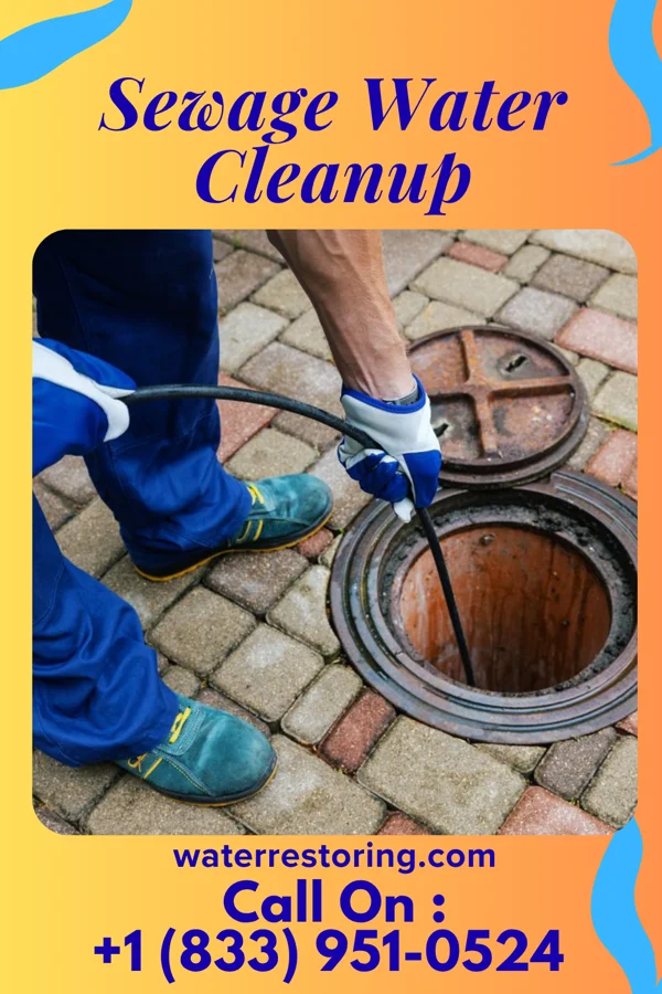 Sewage Water Cleanup in Simpson, PA